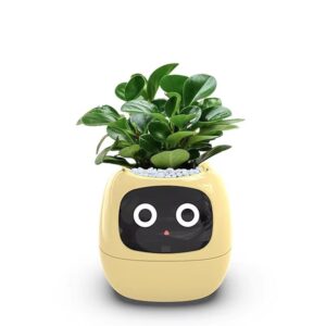 Smart Planter Pot with LCD, Wi-Fi & Self-Watering Pot