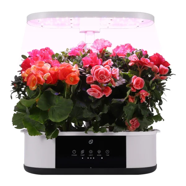 12-Pod Hydroponic System with LED Grow Lights