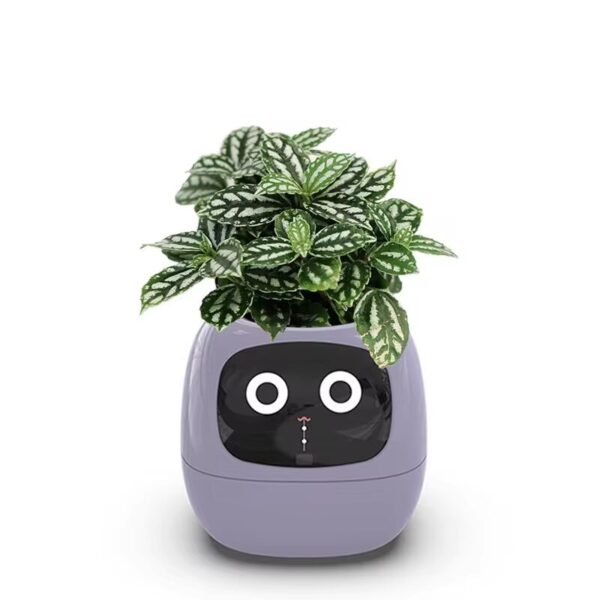 Smart Planter Pot with LCD, Wi-Fi & Self-Watering Pot - Image 9