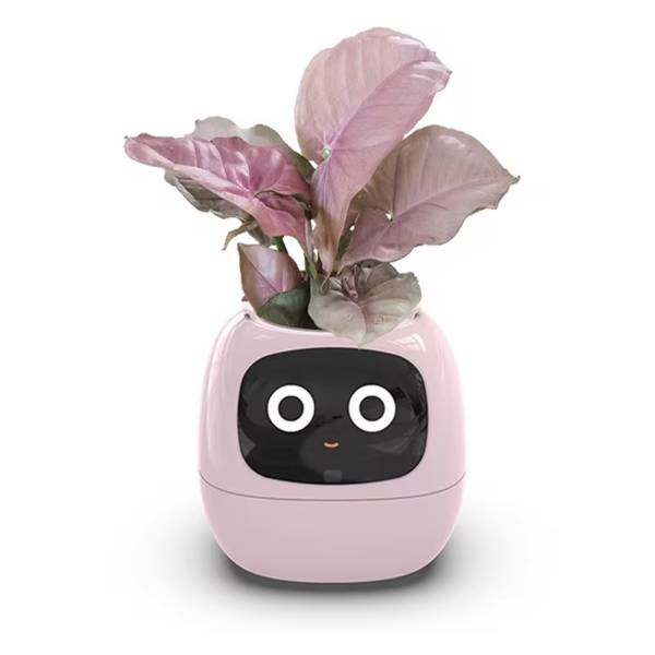 Smart Planter Pot with LCD, Wi-Fi & Self-Watering Pot - Image 10
