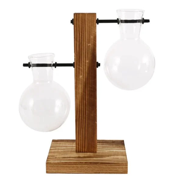 Glass Bulb Vase for Hydroponics & Home Decor - Image 9