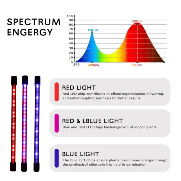 LED Grow Light with Adjustable Arms & Timer - Image 6