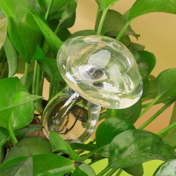 Pack of 3 Glass Self-Watering Bulbs for Plants - Image 3