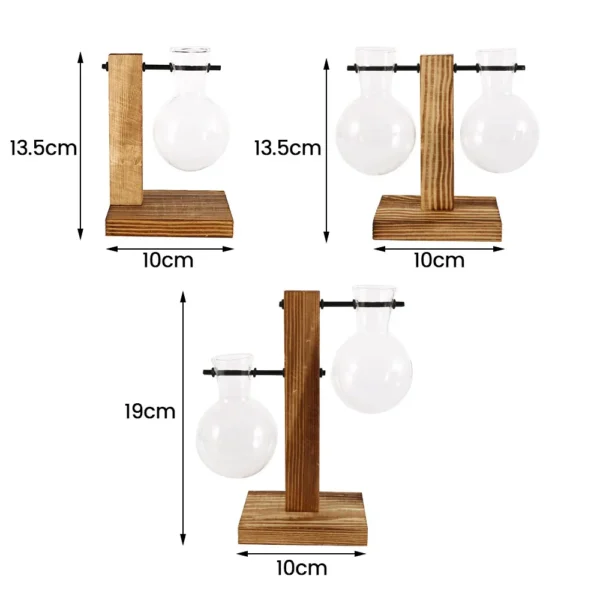 Glass Bulb Vase for Hydroponics & Home Decor - Image 6