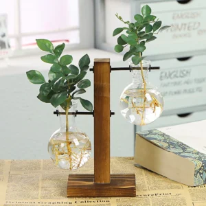 Glass Bulb Vase for Hydroponics & Home Decor