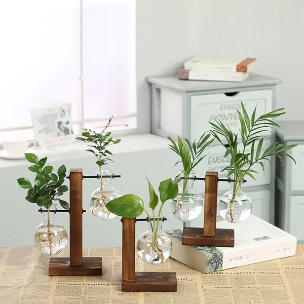 Glass Bulb Vase for Hydroponics & Home Decor - Image 4