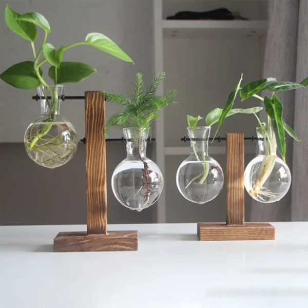 Glass Bulb Vase for Hydroponics & Home Decor - Image 3