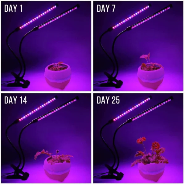 LED Grow Light with Adjustable Arms & Timer - Image 5