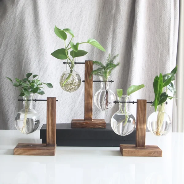 Glass Bulb Vase for Hydroponics & Home Decor - Image 2