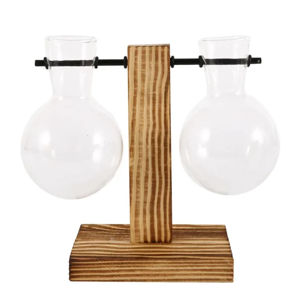 Glass Bulb Vase for Hydroponics & Home Decor - Image 10