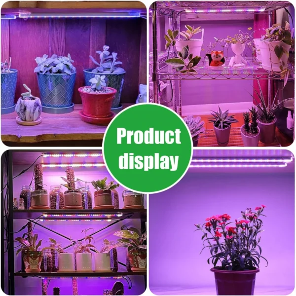Color Changing LED Indoor Grow Light - Image 6