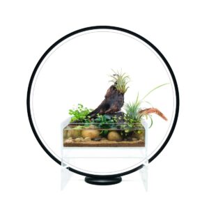 Luxury Circle LED Grow Light With Stand
