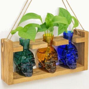Plant Propagation Stations Hydroponics Halloween Decorations Skull Planter Vase Skulls Home Decor with Wooden Stand Gift