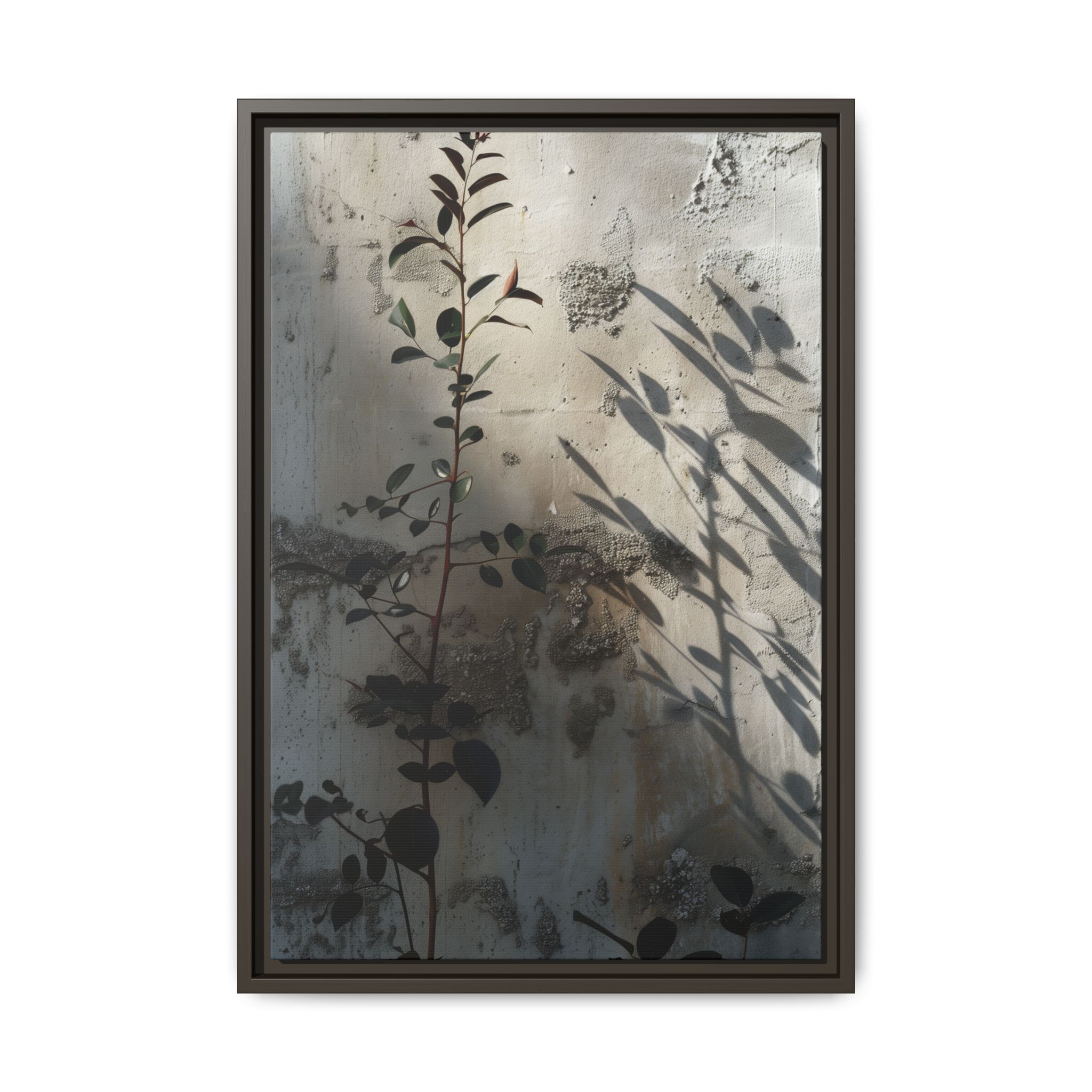 Moody Botanical Canvas Wall Art | Framed Plant Shadow Print